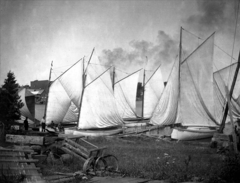 A fleet of Capt. Roy Ranger's gaff-rigged sloop Mackinaw boats.